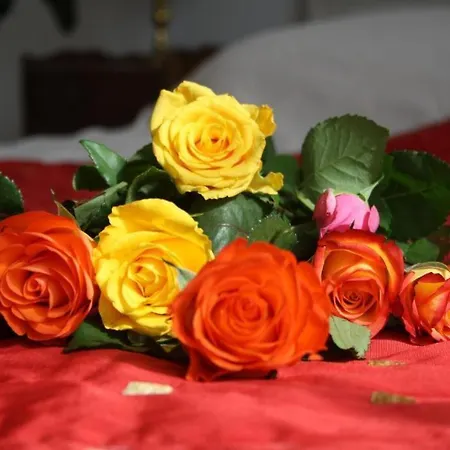 Maison La Belle 度假居