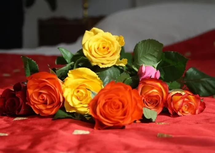 Maison La Belle בית נופש